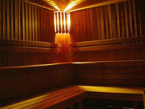 gay sauna antwerp|6 Gay Antwerp Bathhouses Saunas, Gay guide 2024